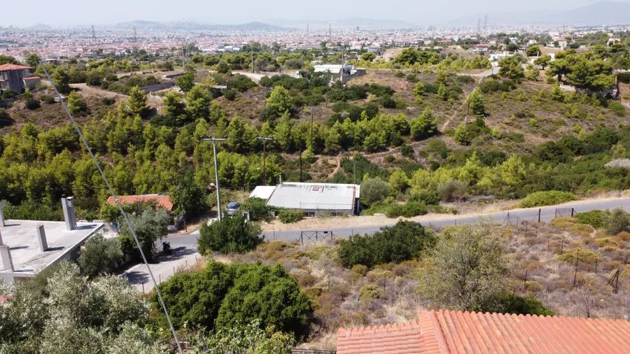 Plot Anthousa