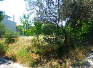 Plot West of Anthousa Avenue