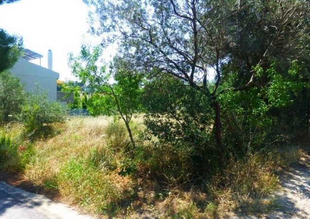 Plot West of Anthousa Avenue