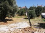 Photo 204206784