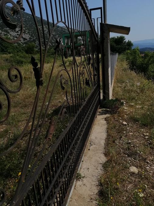 Photo 215303775