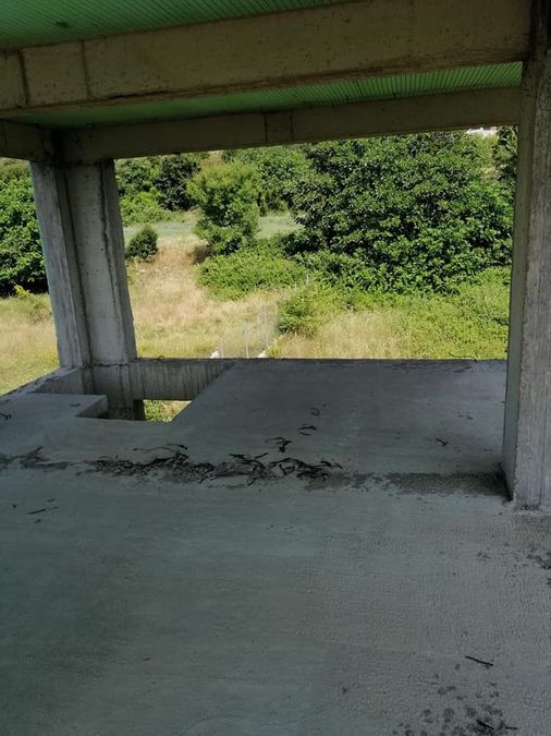 Photo 215303796