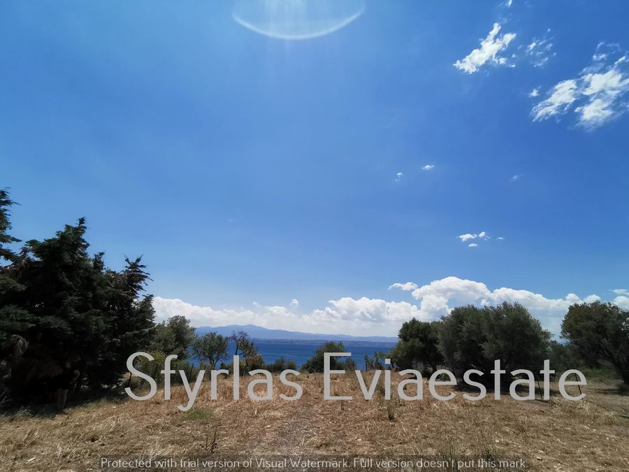 Photo 215501556