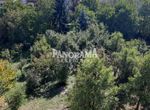  Grocka: Boleč - Zaklopača - Ritopek kuća na prodaju 474 ㎡ 10 Spavaće sobe Slika 6 od 15