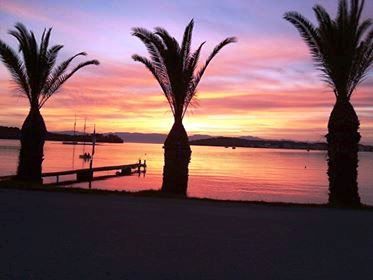 Photo 222827664