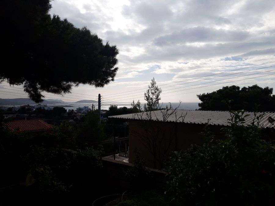 Photo 223148115