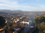 Photo 223259895