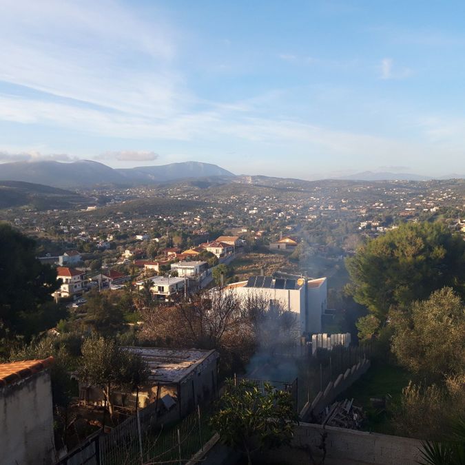 Photo 223259895