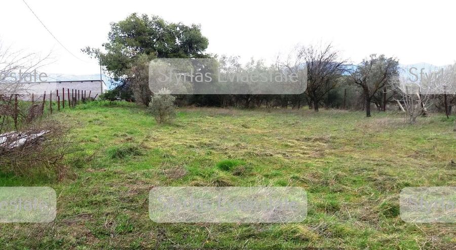 Photo 227836581