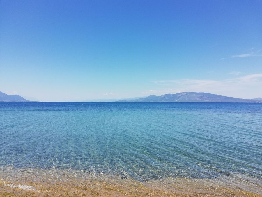 Photo 230590869