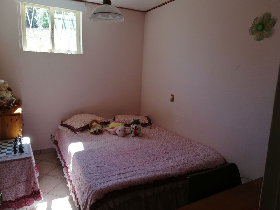 Photo 230591067