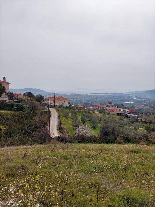 Photo 231149121