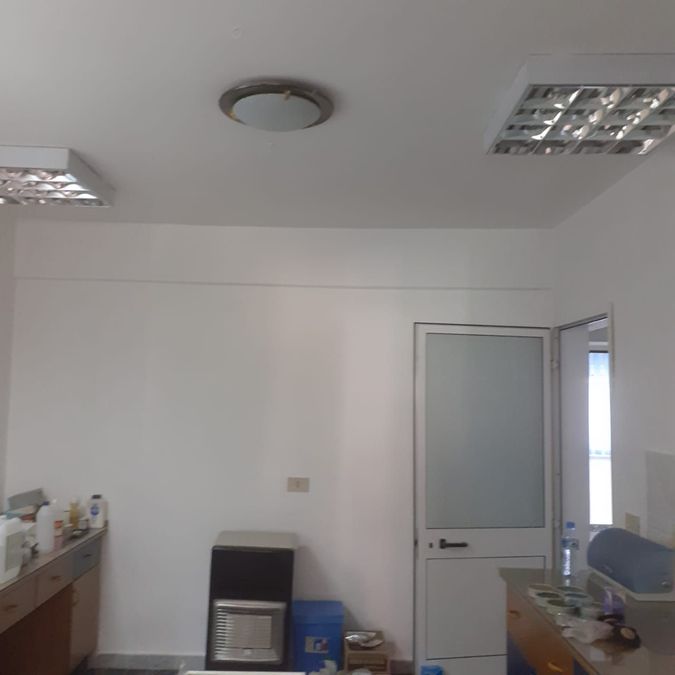 Photo 232062852