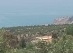 Photo 233349315
