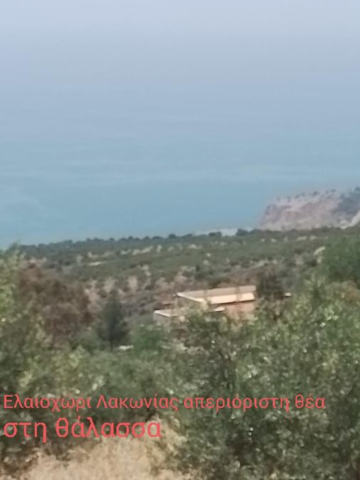 Photo 233349315