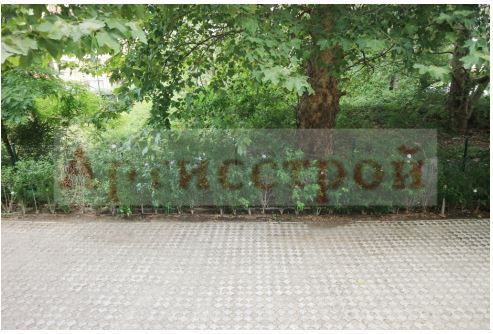 Снимка 234048522