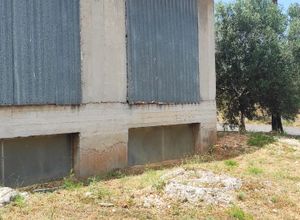 House Agia Marina Neas Makris