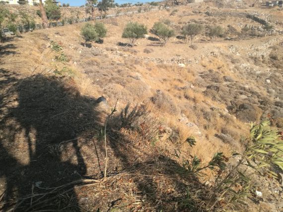 Plot Ano Syros