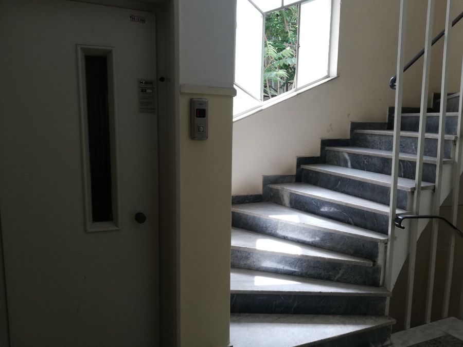 Photo 239311011