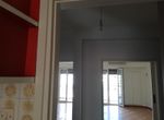 Photo 239311020