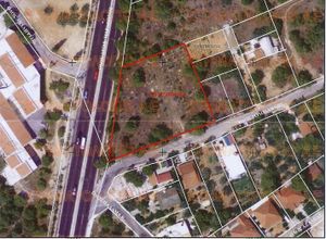 Farm parcel for sale Center (Rafina) 2,500 ㎡