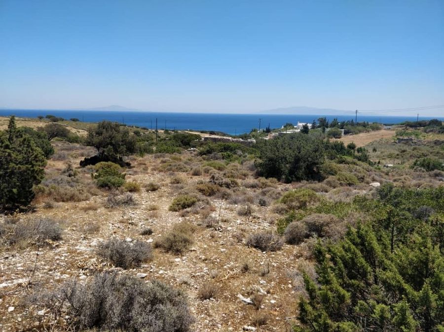 Paroikia