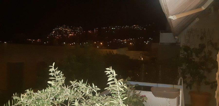 Photo 239994651