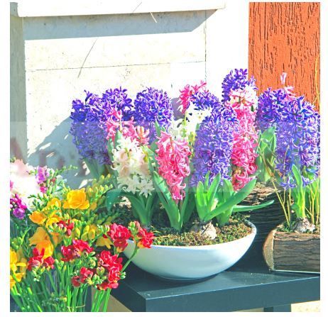 Снимка 240057987