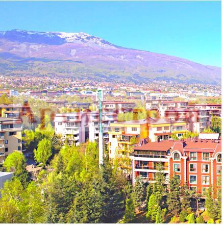 Снимка 240057996