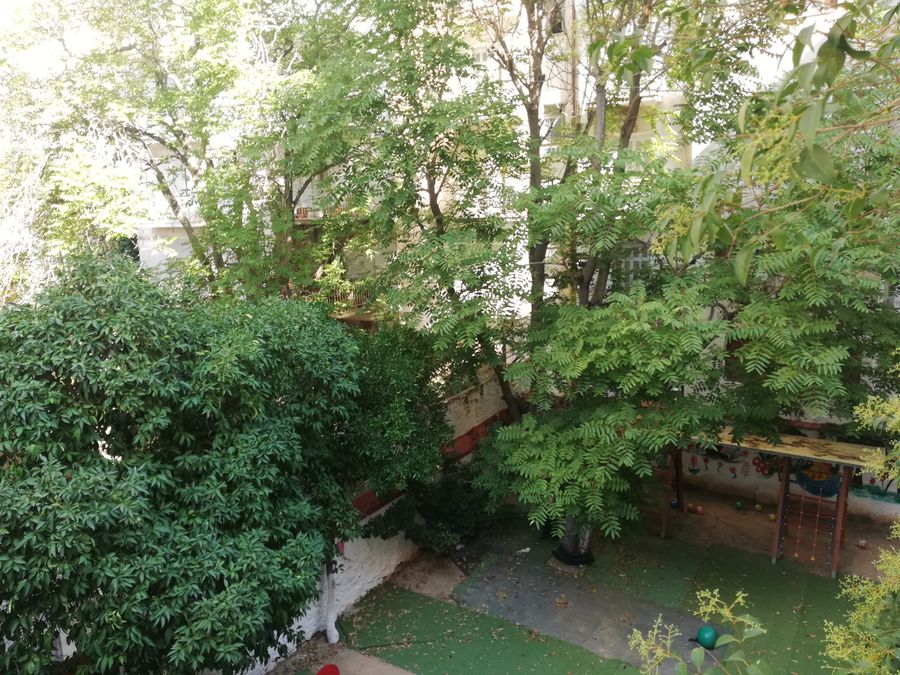 Photo 241389285