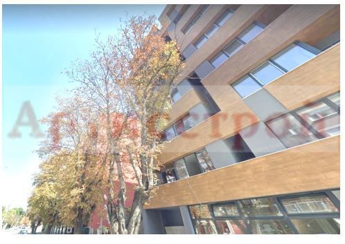 Снимка 241428798