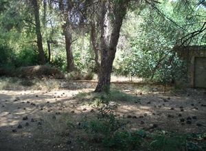 Land Plot, Kifissia