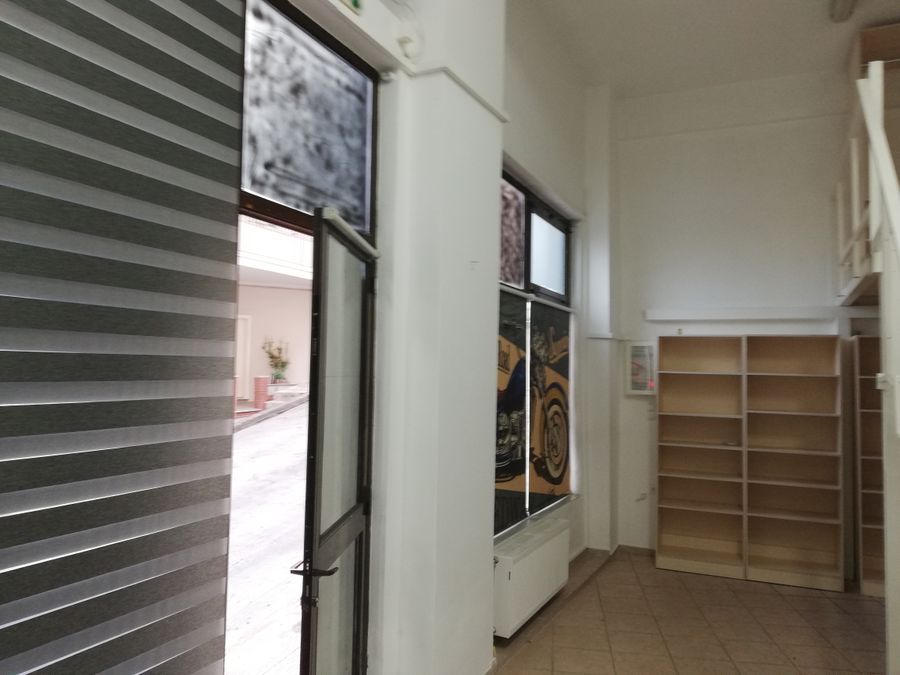 Photo 241958127