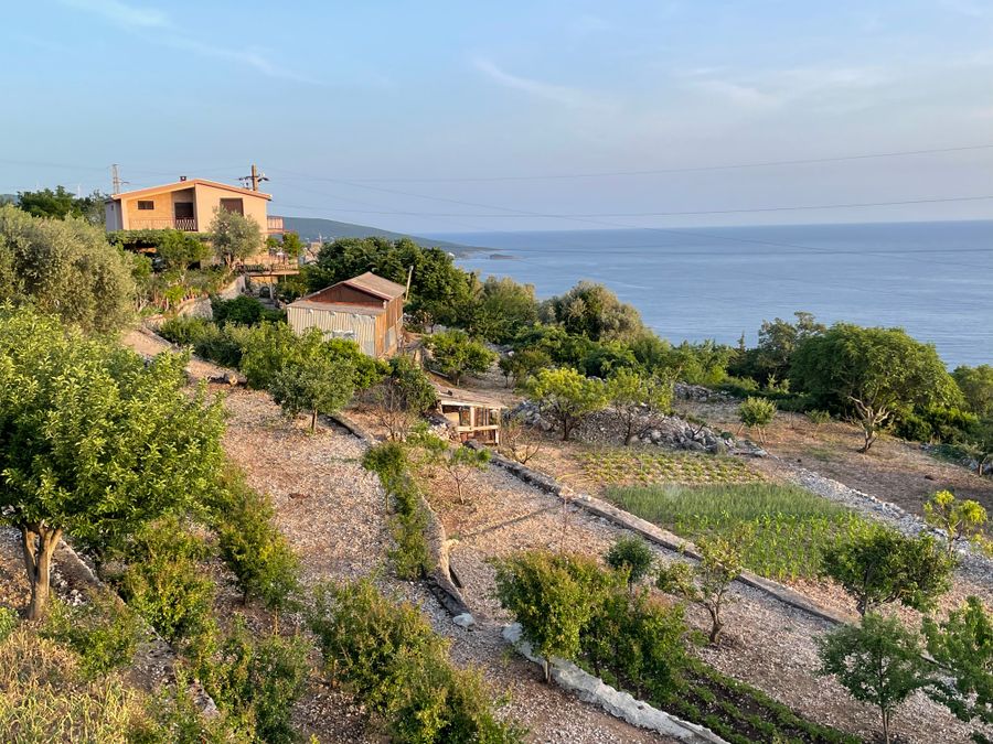 Fotografija 242034561