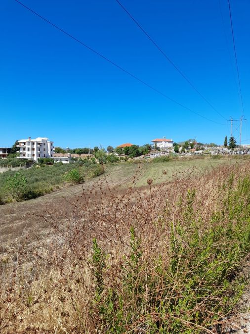 Photo 242362209