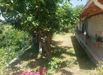 Foto 243499206