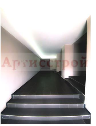 Снимка 244794231