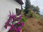 Photo 244984803