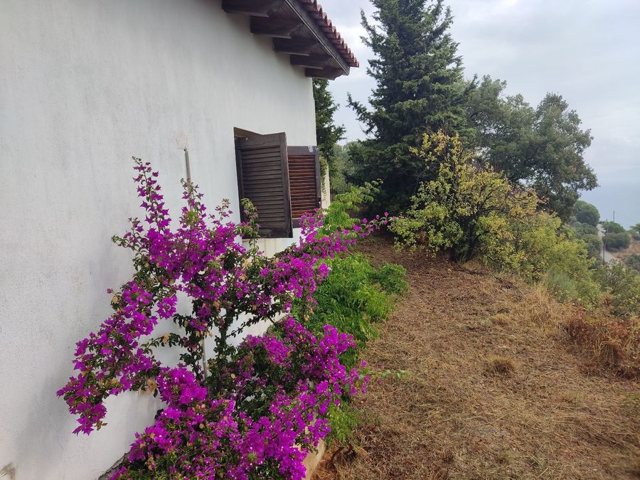 Photo 244984803