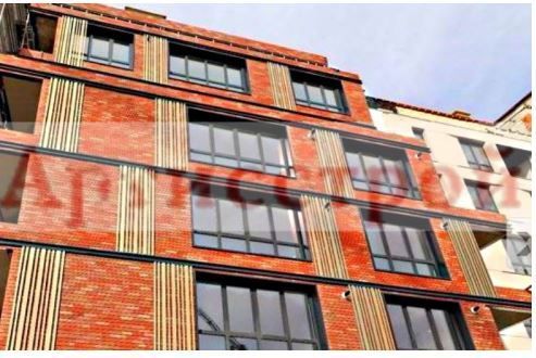 Снимка 245930481