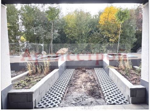 Снимка 245930508