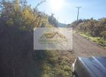 Foto 247193502