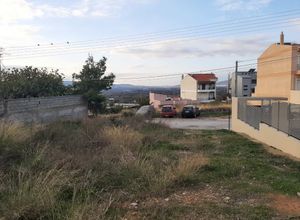 Plot Center