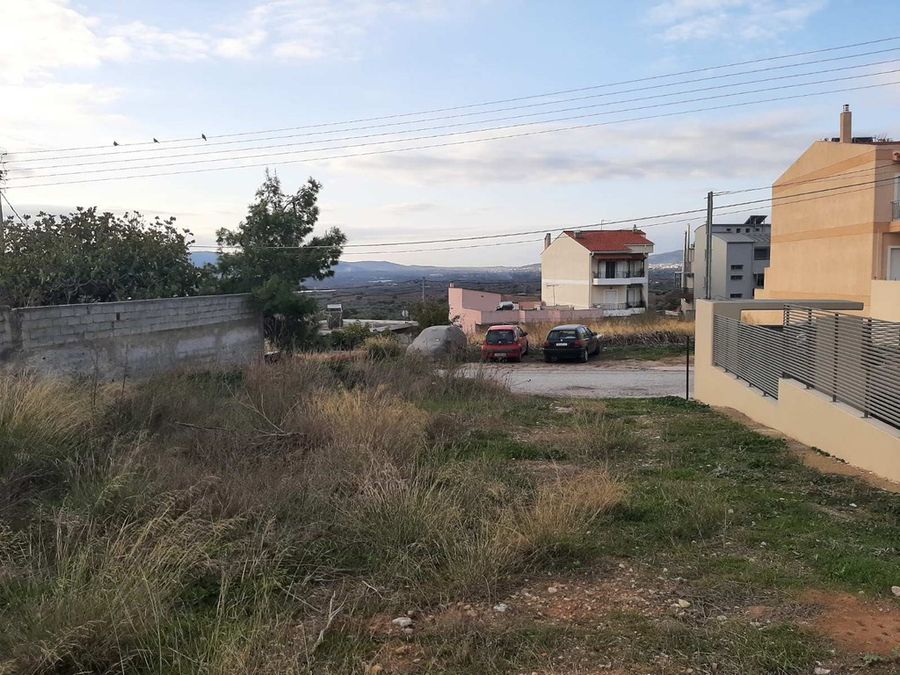 Plot Center