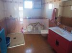 Foto 247305066