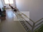Foto 247308015