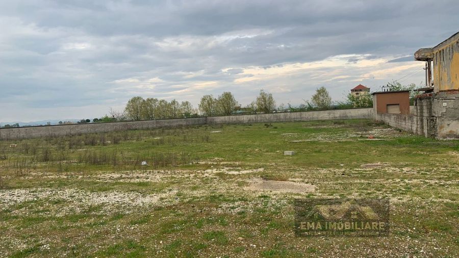 Photo 247783290