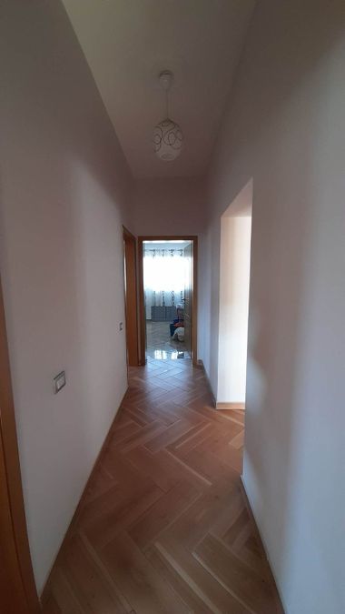 Photo 248072487