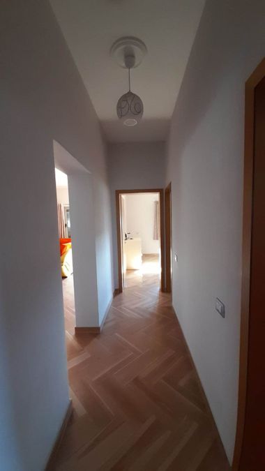Photo 248072496