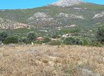 Photo 248233728